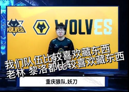 葛大爷爆料狼队视频大全,狼队视频大全背后的精彩瞬间  第3张